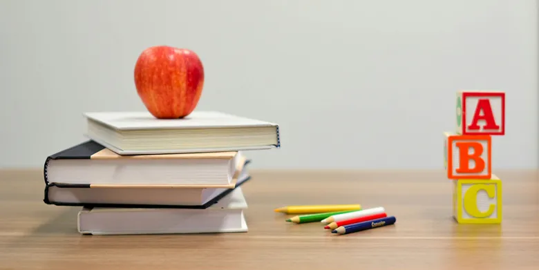ICSE or CBSE Which Curriculum is Better for Holistic Learning